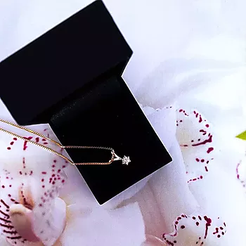 Bilde nummer 3 av Olivia anheng i 585 gult gull med diamant 0,25 ct