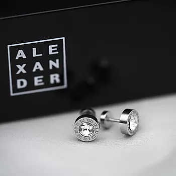Bilde nummer 2 av Alexander, Øredobber i stål med zirkonia