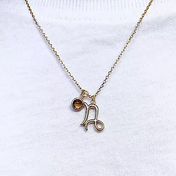 Bilde nummer 3 av Pan Jewelry, Smykke i 925 forgylt sølv med zirkonia og horoskop Steinbukken