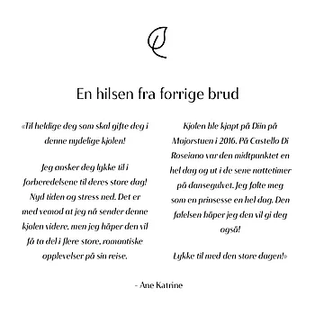 Bilde nummer 4 av En gang til brudekjole, Diin brud