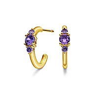 Pan Jewelry, Rio Radiance øredobber i forgylt 925 sølv med lilla zirkonia