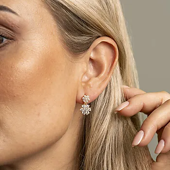Bilde nummer 2 av Pan Jewelry, Øredobber i 925 forgylt sølv med zirkonia