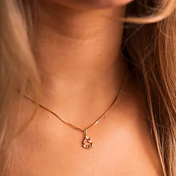 Bilde nummer 2 av Pan Jewelry, Anheng i 585 gult gull med zirkonia