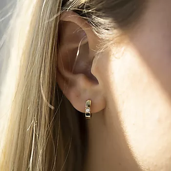 Bilde nummer 4 av Pan Jewelry, Øreringer i 925 forgylt sølv med zirkonia