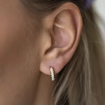 Bilde nummer 4 av Pan Jewelry, Øreringer i 585 gult gull med zirkonia