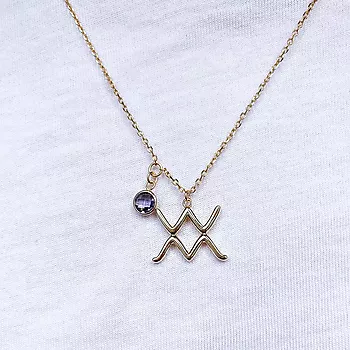 Bilde nummer 3 av Pan Jewelry, Smykke i 925 forgylt sølv med zirkonia og horoskop Vannmannen