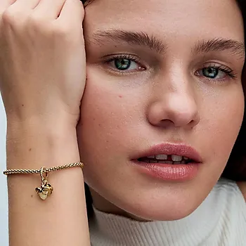 Bilde nummer 2 av Pandora Moments, Charm i 925 forgylt sølv med ildflue