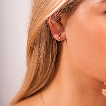 Bilde nummer 2 av Pan Jewelry, Øreringer i 585 gult gull med zirkonia