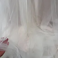 Bilde nummer 8 av En gang til brudekjole, Ladybird