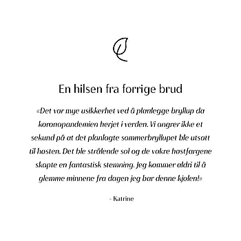 Bilde nummer 4 av En gang til brudekjole, Ladybird