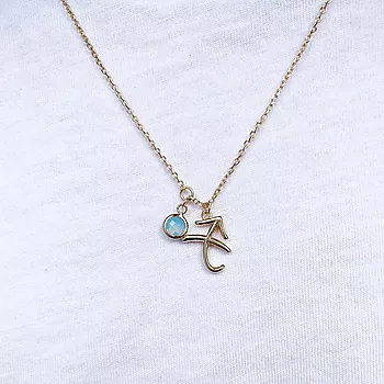 Bilde nummer 3 av Pan Jewelry, Smykke i 925 forgylt sølv med zirkonia og horoskop Skytten