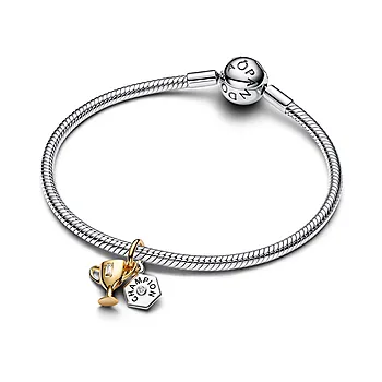 Bilde nummer 3 av Charms med pokal
