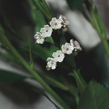 Bilde nummer 3 av Tone Damli by A&C, Seven Blooms øreringer i forgylt stål og perlemor