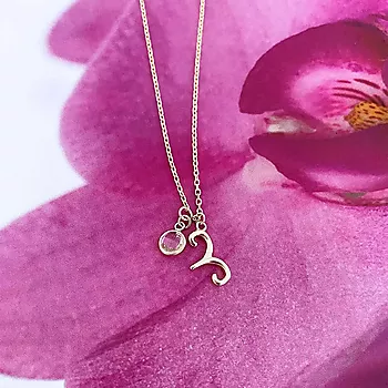 Bilde nummer 4 av Pan Jewelry, Smykke i 925 forgylt sølv med zirkonia og horoskop Væren