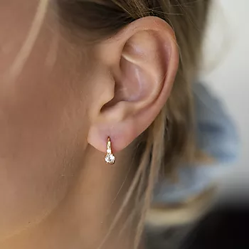 Bilde nummer 4 av Pan Jewelry, Øreringer i 925 forgylt sølv med zirkonia