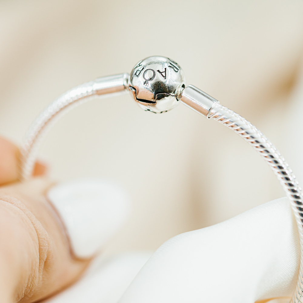Bilde nummer 4 av Pandora Moments, Armbånd i 925 sølv