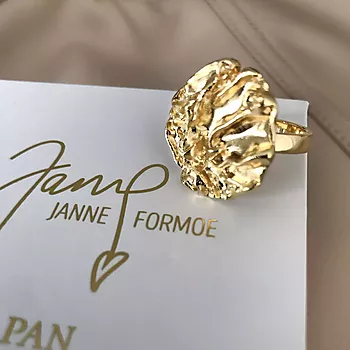 Bilde nummer 3 av Janne Formoe by Pan Jewelry, Ring i 925 forgylt sølv med struktur