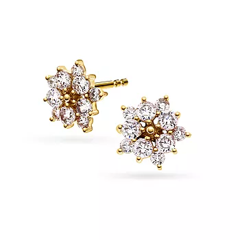 Pan Jewelry, Øredobber i 585 gult gull med zirkonia