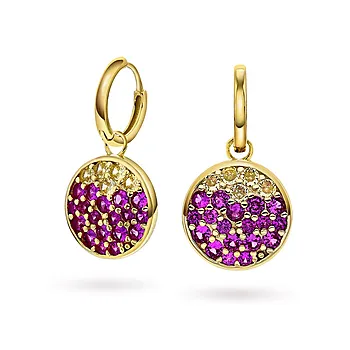 Shine øreringer i 925 forgylt sølv