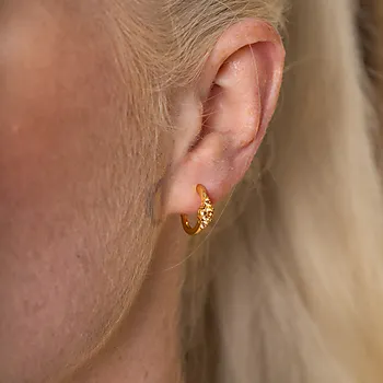 Bilde nummer 2 av Pan Jewelry, Rio Radiance øredobber i forgylt 925 sølv med champagne zirkonia