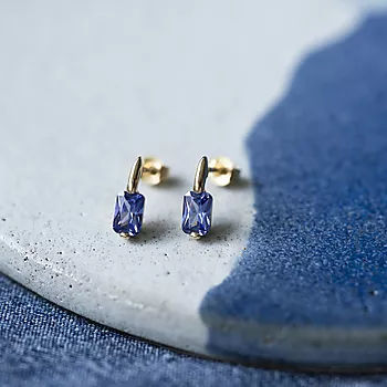 Bilde nummer 4 av Pan Jewelry, Øredobber i 585 gult gull med zirkonia sten