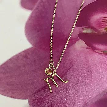 Bilde nummer 3 av Pan Jewelry, Smykke i 925 forgylt sølv med zirkonia og horoskop Skorpionen