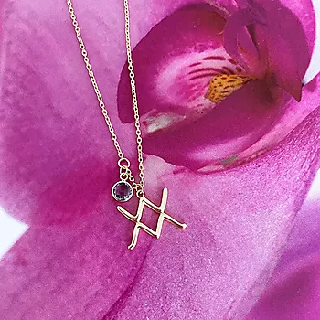 Bilde nummer 4 av Pan Jewelry, Smykke i 925 forgylt sølv med zirkonia og horoskop Vannmannen