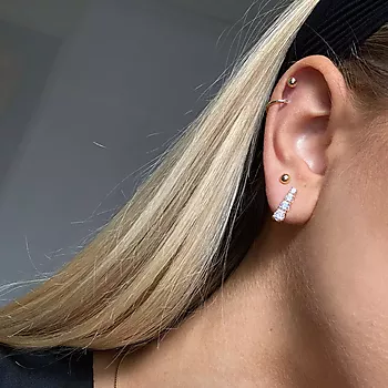 Bilde nummer 2 av Pan Jewelry, Øredobber i 585 gult gull med zirkoniastener