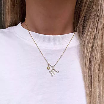 Bilde nummer 2 av Pan Jewelry, Smykke i 925 forgylt sølv med zirkonia og horoskop Skorpionen