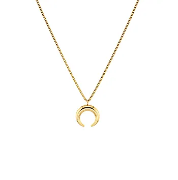 Wishbone smykke i forgylt stål, S
