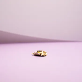 Bilde nummer 4 av Yeehaw charms i 925 forgylt sølv