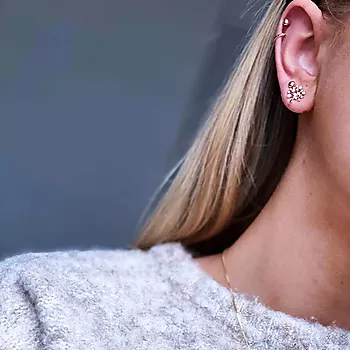 Bilde nummer 4 av Pan Jewelry, Øredobber i 585 gult gull med zirkonia og livets tre