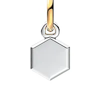 Bilde nummer 4 av Charms med pokal