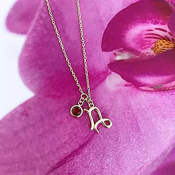 Bilde nummer 4 av Pan Jewelry, Smykke i 925 forgylt sølv med zirkonia og horoskop Steinbukken