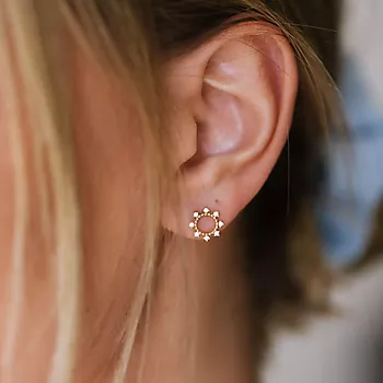 Bilde nummer 2 av Pan Jewelry, Øredobber i 585 gult gull med zirkonia og sirkel